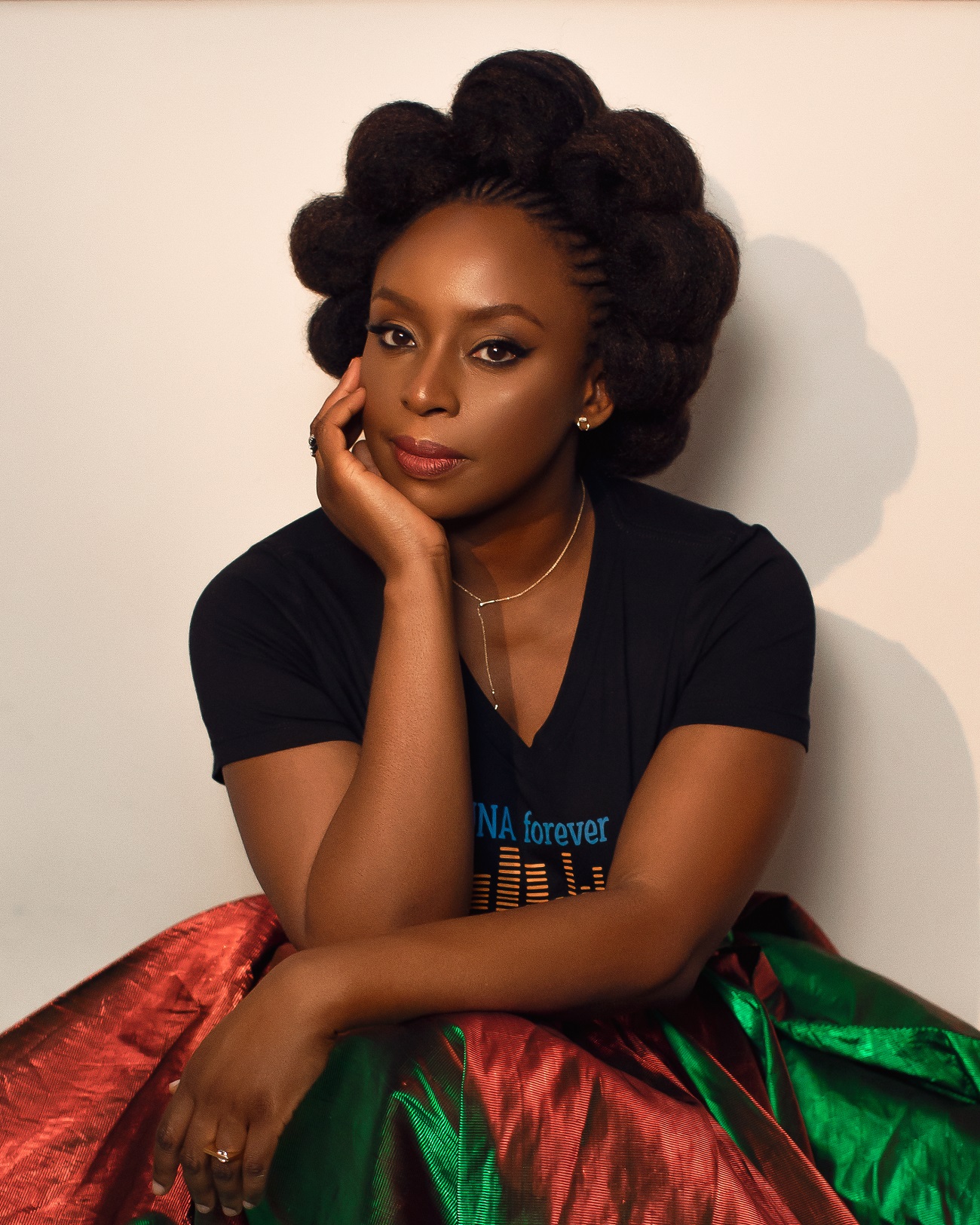 chimamanda-ngozi