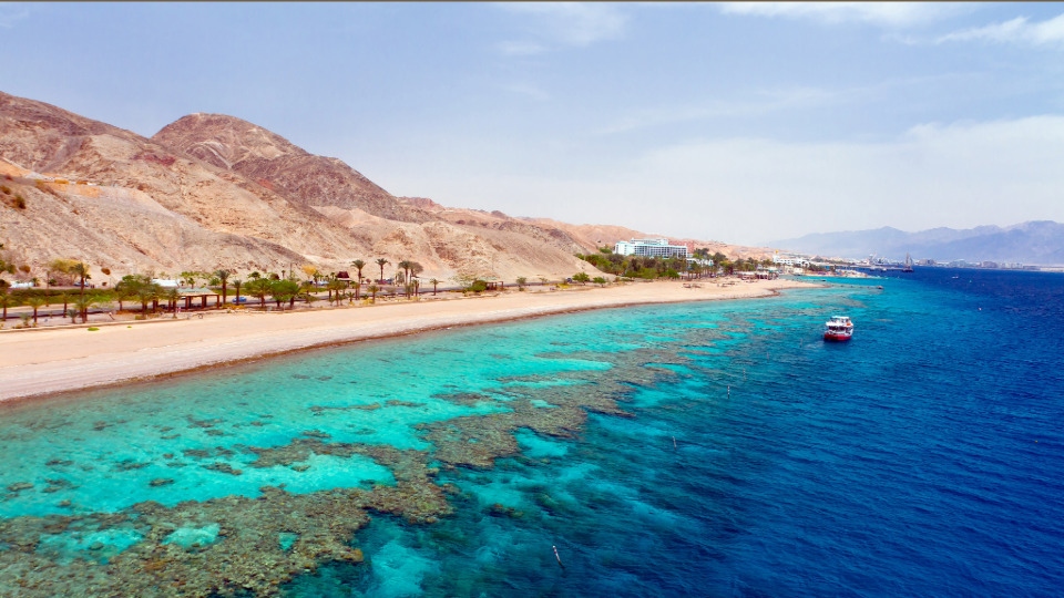 Red Sea